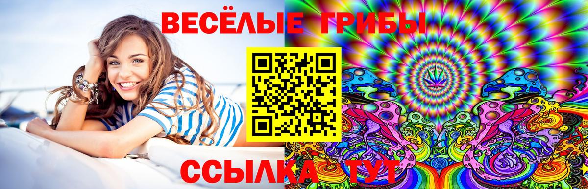Нефтекамск  Галлюциногенные грибы Cubensis  Вход с VPN  наркотики  Галлюциногенные грибы Magic Shrooms 